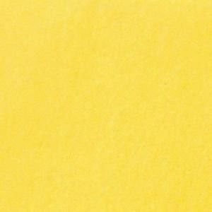 Meet your Posher, Ramyar